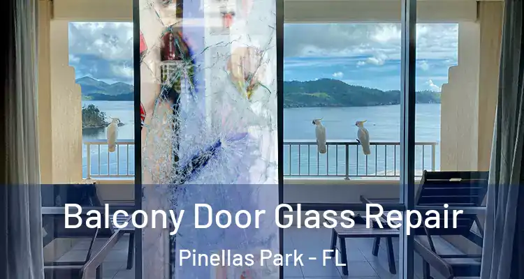  Balcony Door Glass Repair Pinellas Park - FL