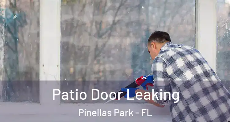  Patio Door Leaking Pinellas Park - FL