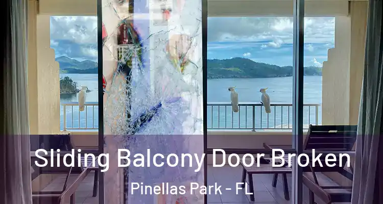  Sliding Balcony Door Broken Pinellas Park - FL